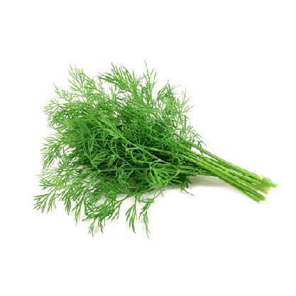 Dill