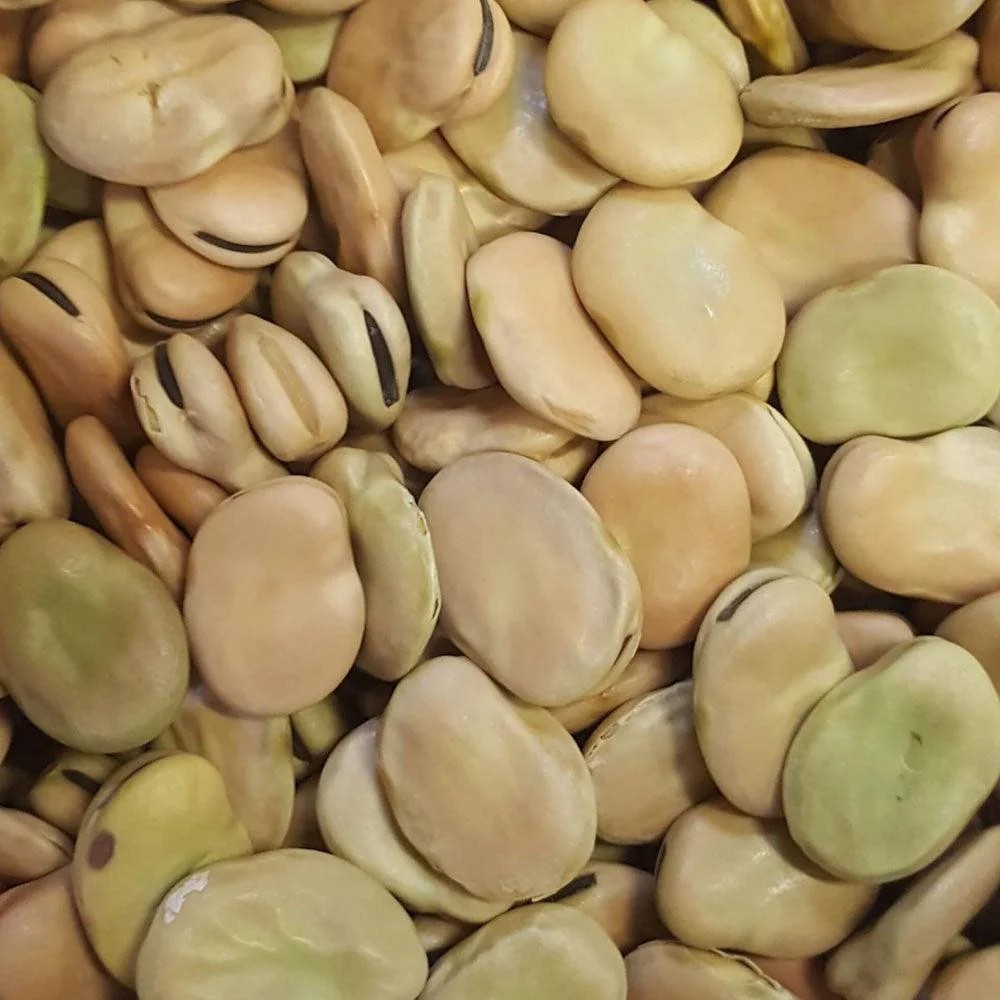 Dry broad beans