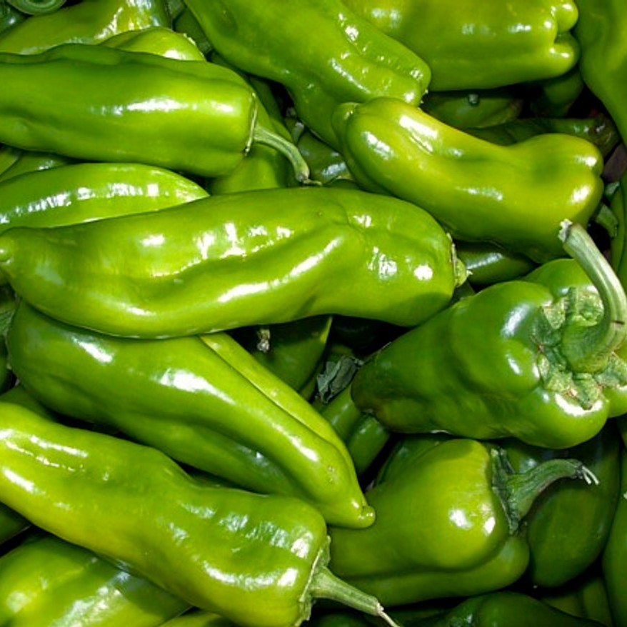 Green pepper