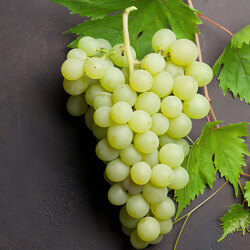 White grapes