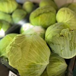 Cabbage