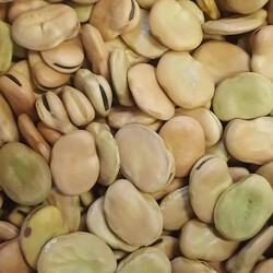 Dry broad beans