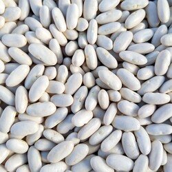 Dry white beans