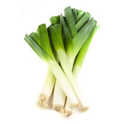 Leek