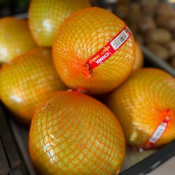 Pomelo