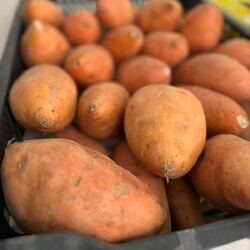 Sweet potatoes