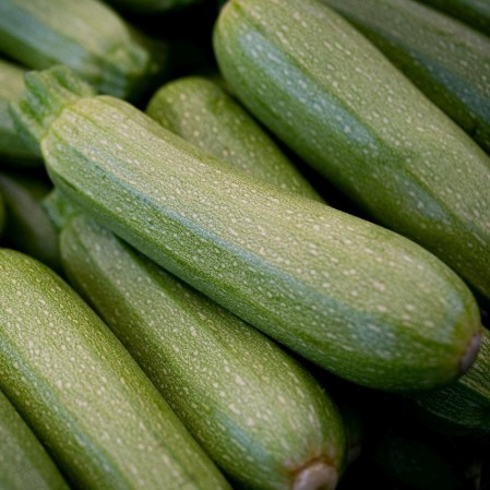 Zucchini